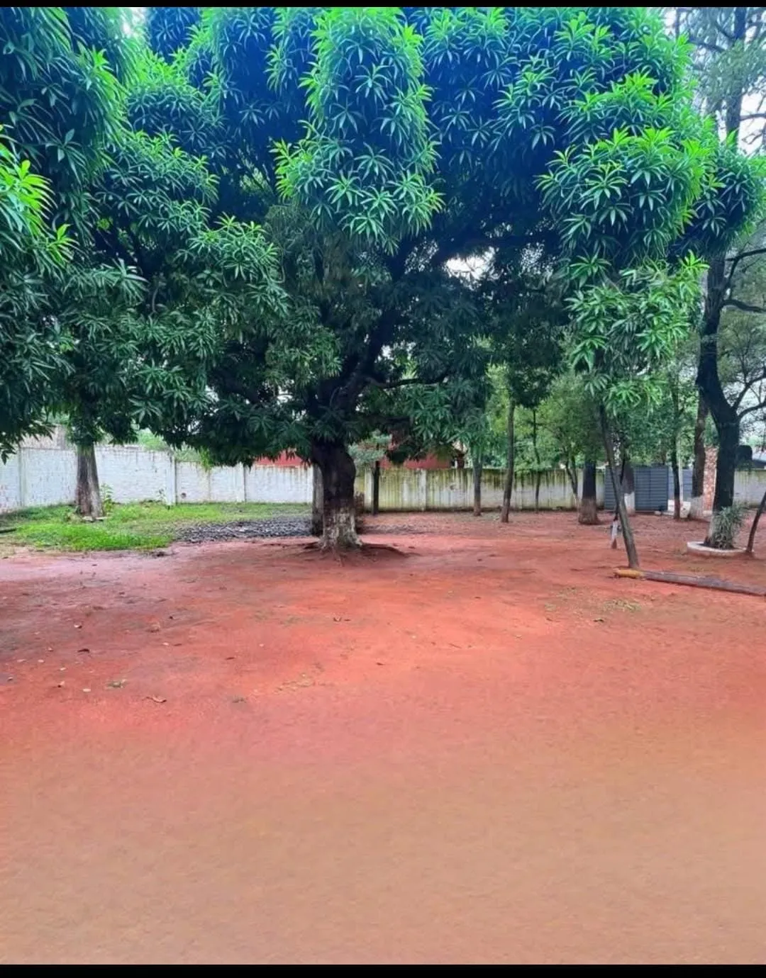 Casa en alquiler en Villa Elisa