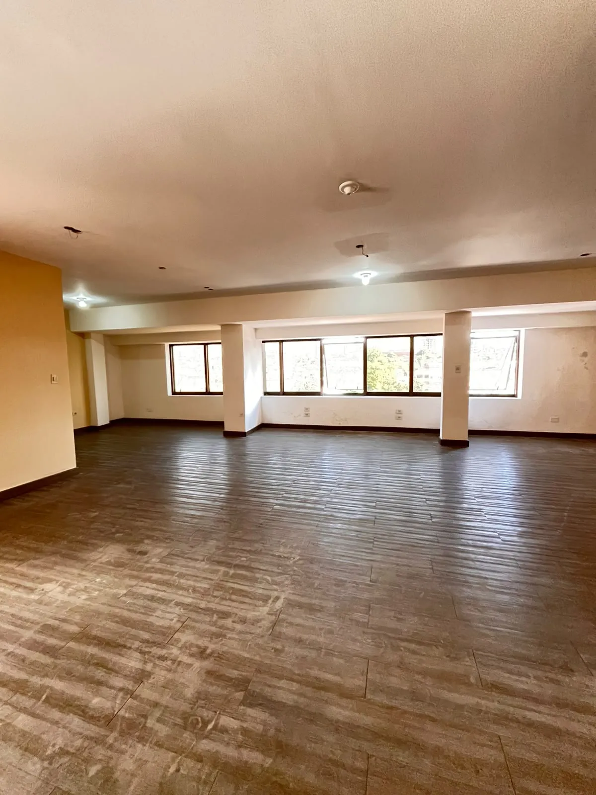 Edificio en venta en La encarnacion