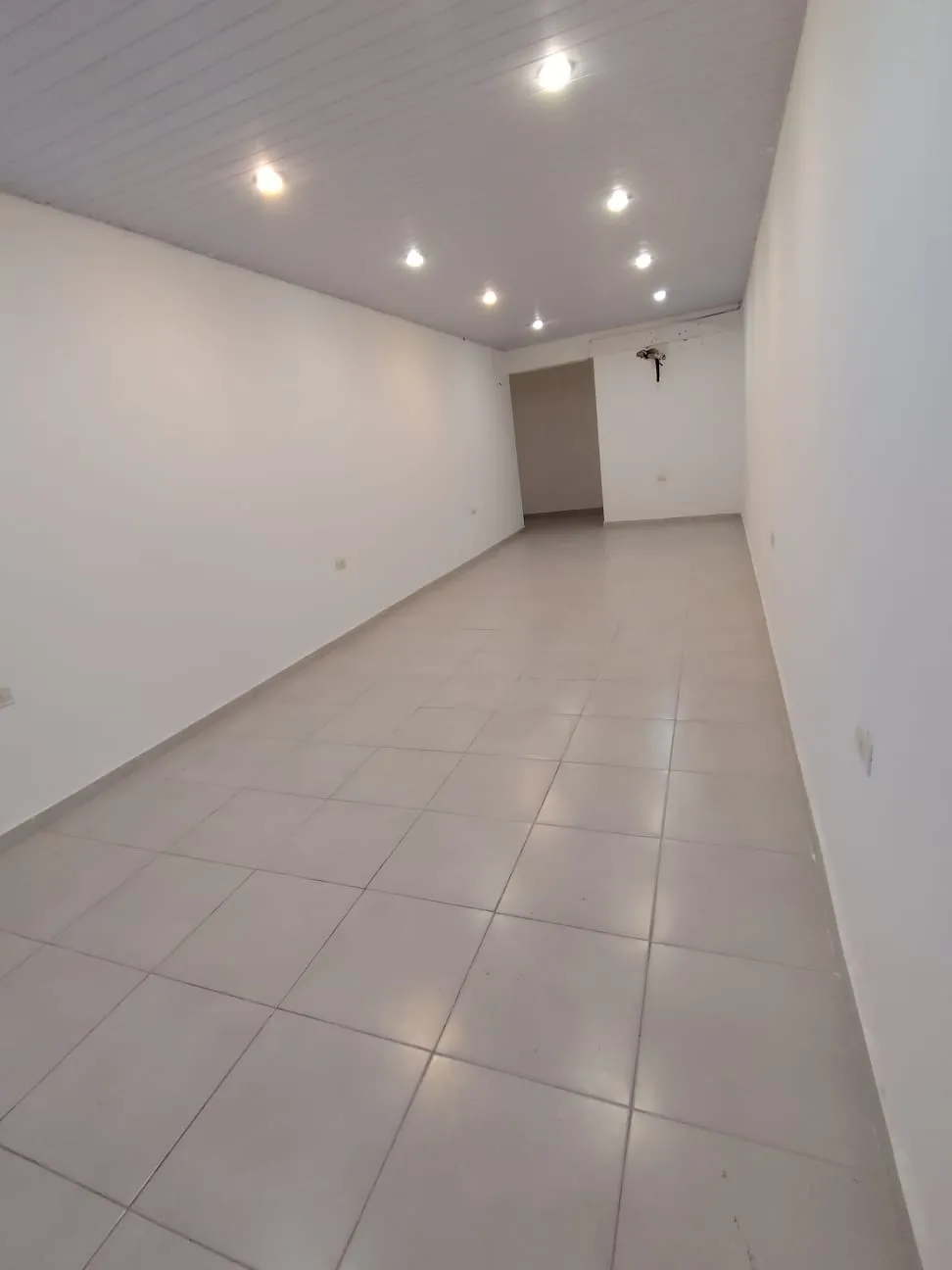 Local Comercial en alquiler en Fernando de la Mora