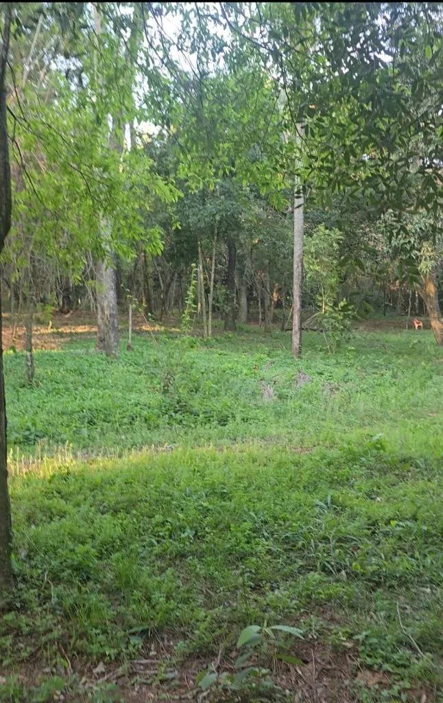 Terreno en venta en ALTURAS DE SANBER