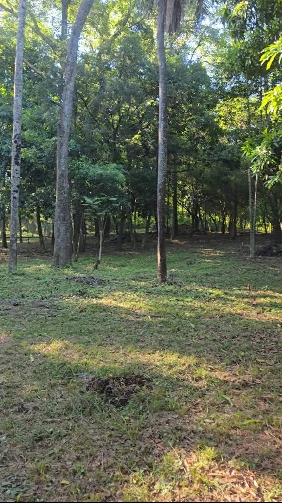 Terreno en venta en ALTURAS DE SANBER