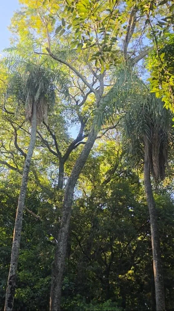 Terreno en venta en ALTURAS DE SANBER