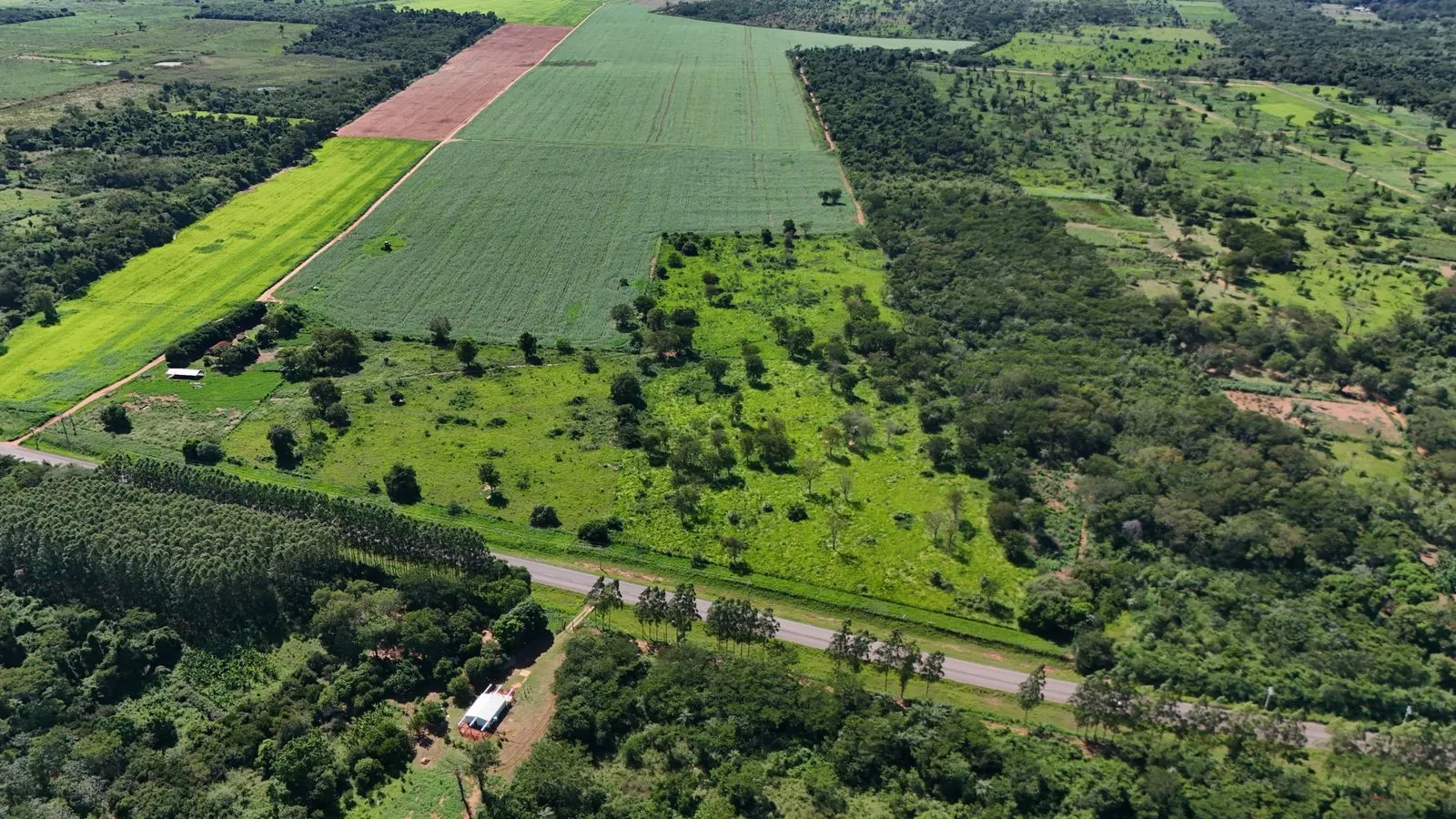 Estancia en venta en concepcion