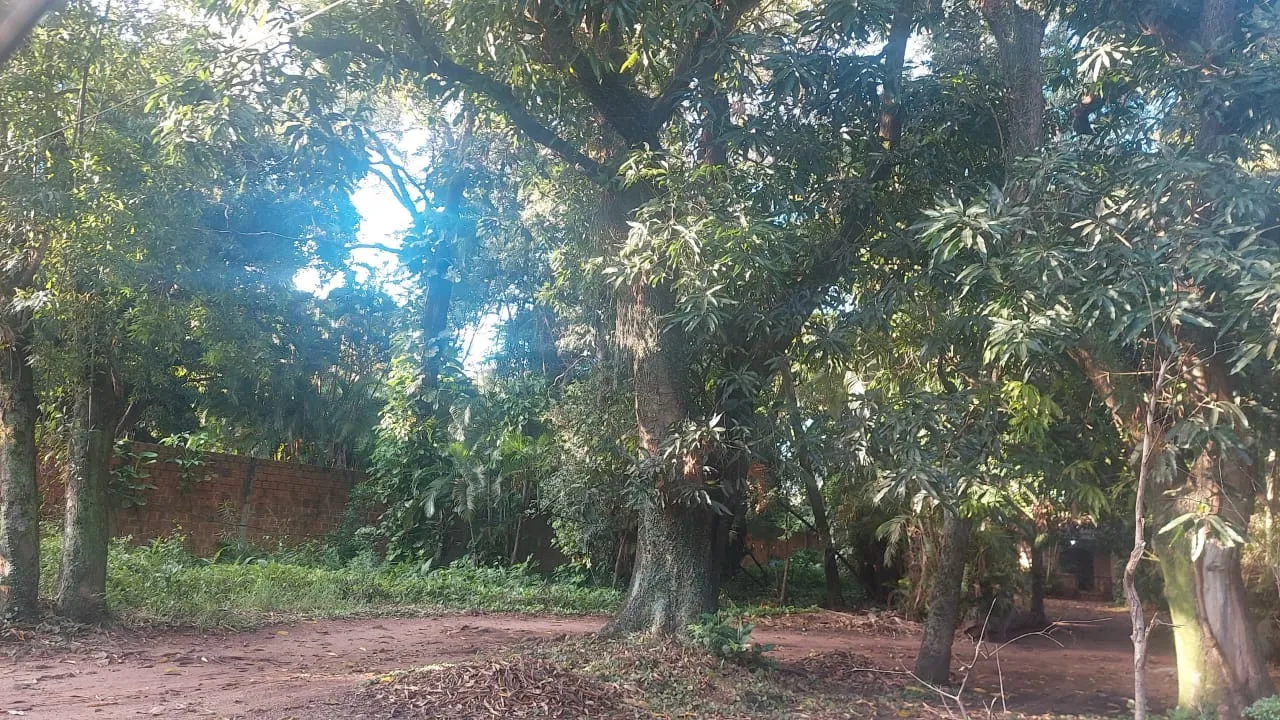 Terreno en venta en Zona Norte