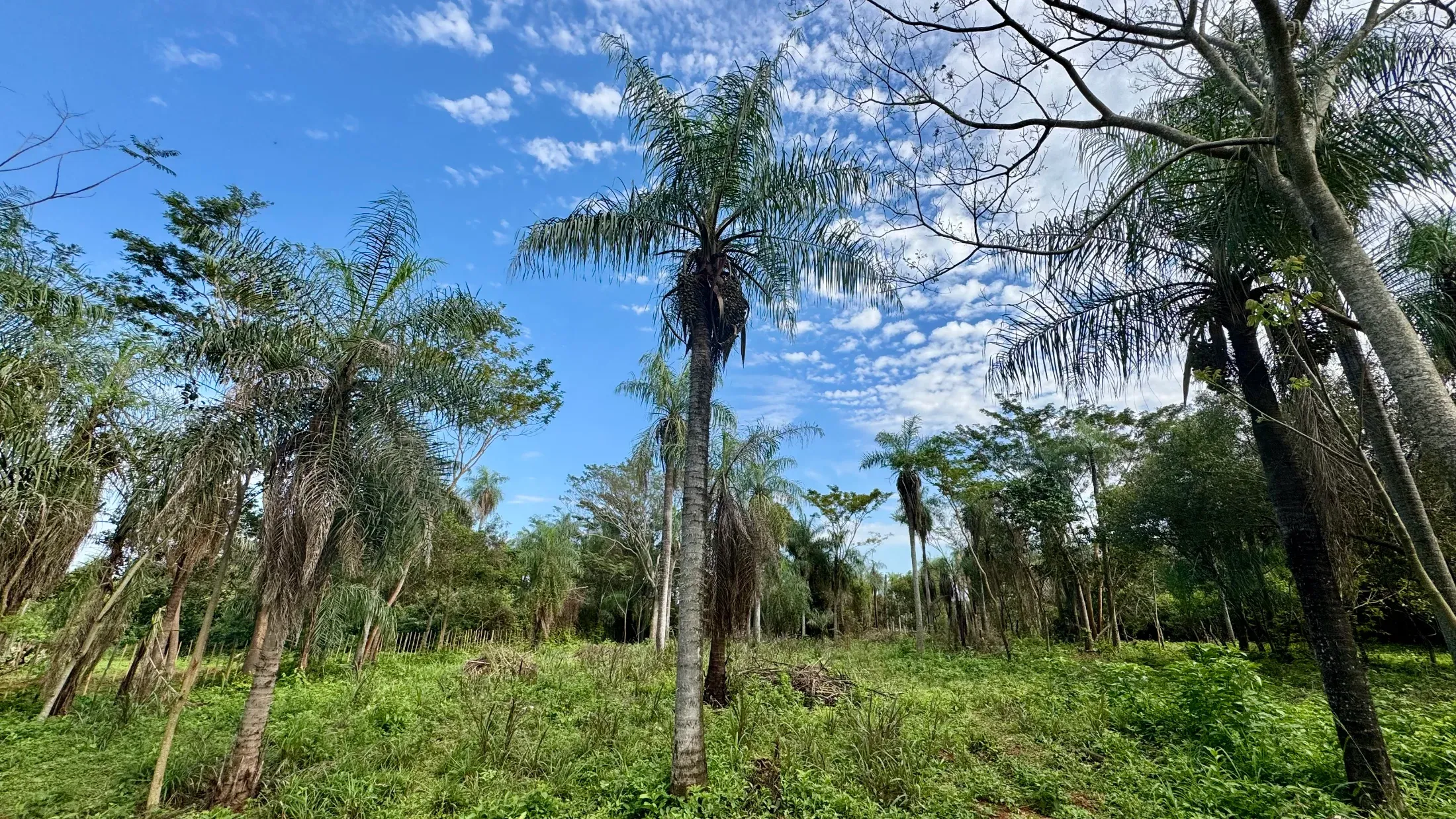 Terreno en venta en Itauguá