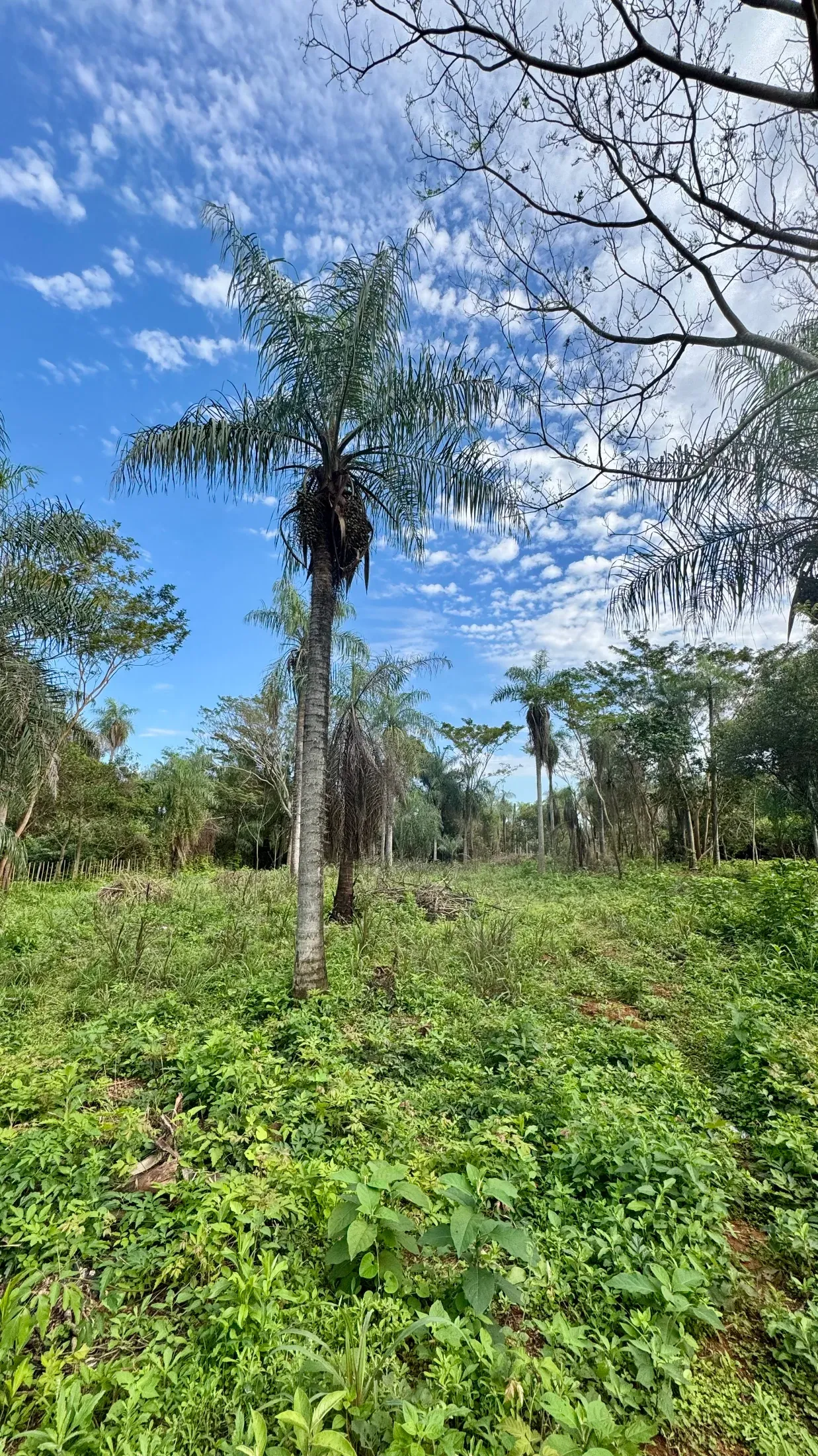 Terreno en venta en Itauguá
