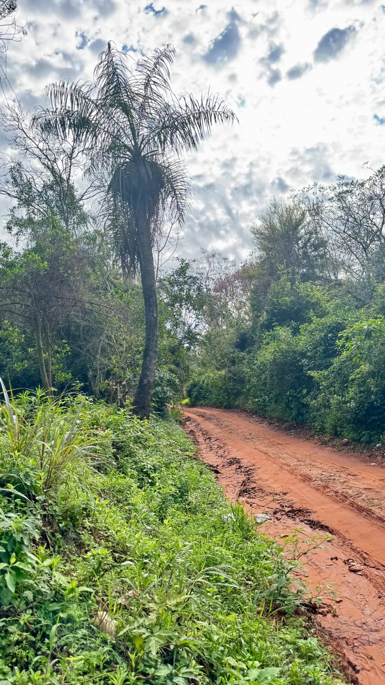 Terreno en venta en Itauguá