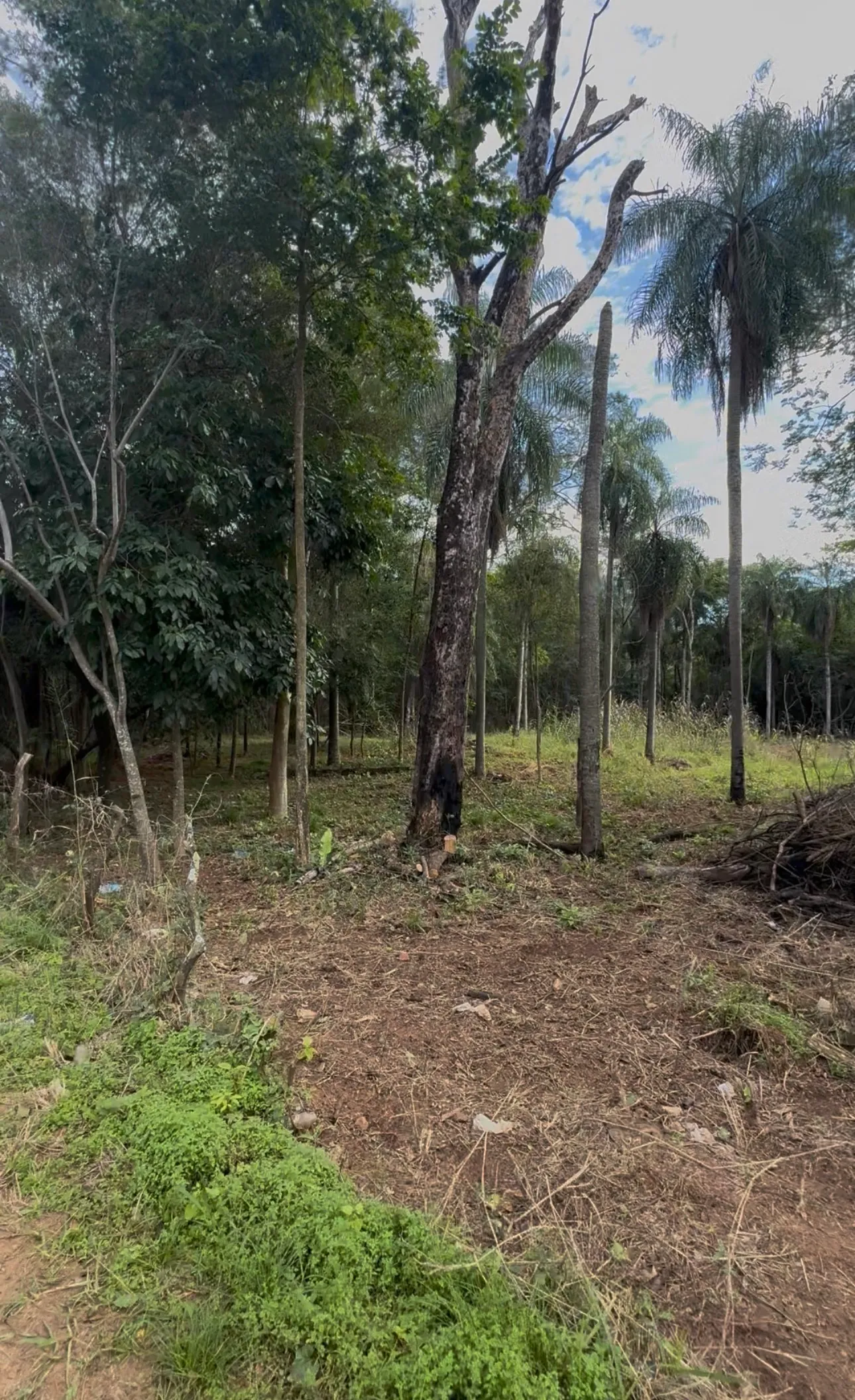 Terreno en venta en Limpio
