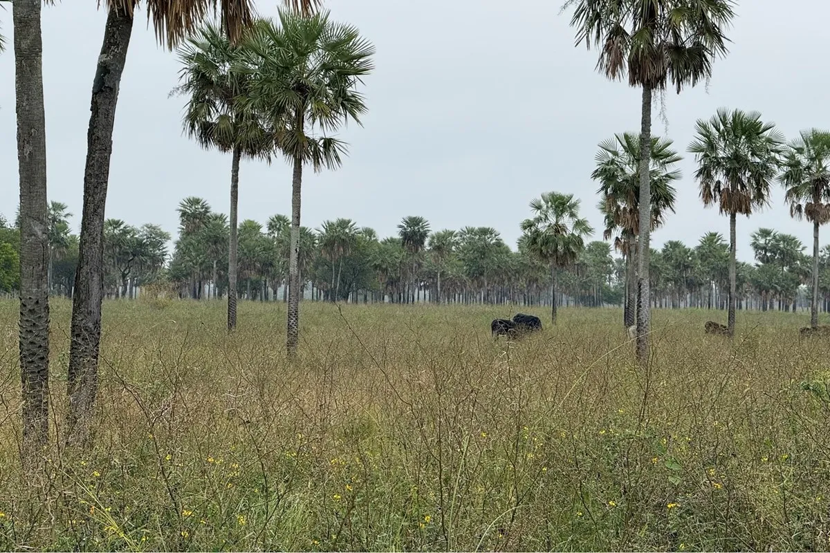 Terreno en venta en Chaco'i