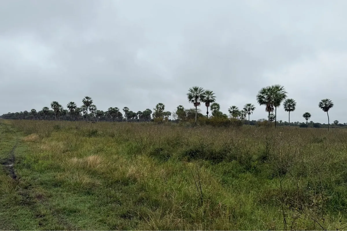 Terreno en venta en Chaco'i