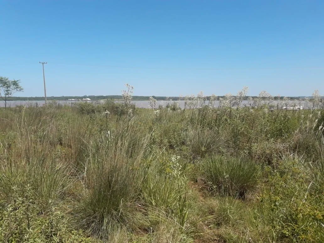 Terreno en venta en Encarnacion