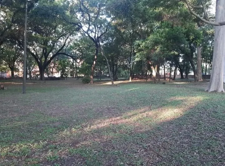 Terreno en venta en lambare