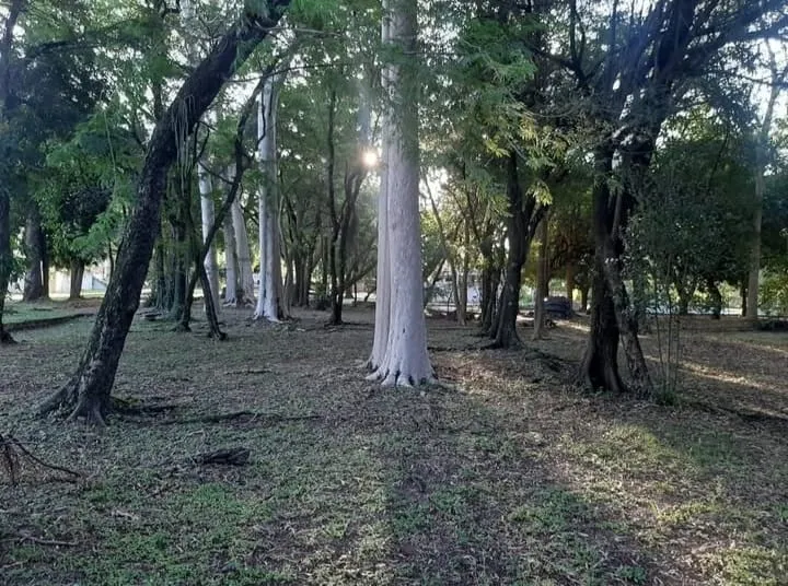 Terreno en venta en lambare